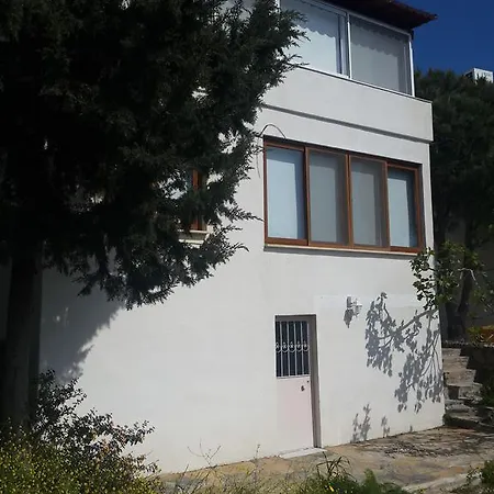 Kudur Bozkir